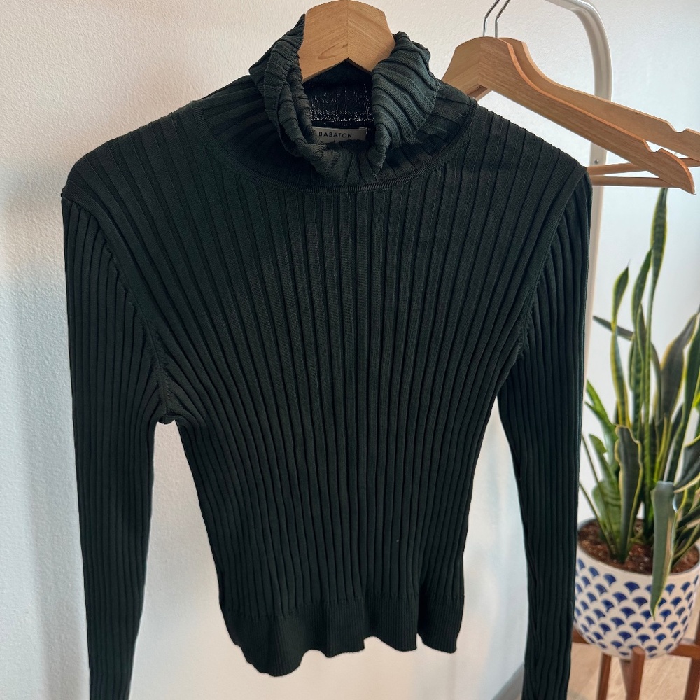Aritzia Babaton Turtleneck Sweater